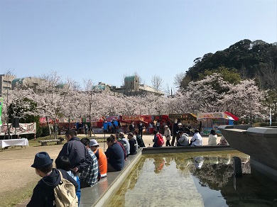 2019米子桜まつり1