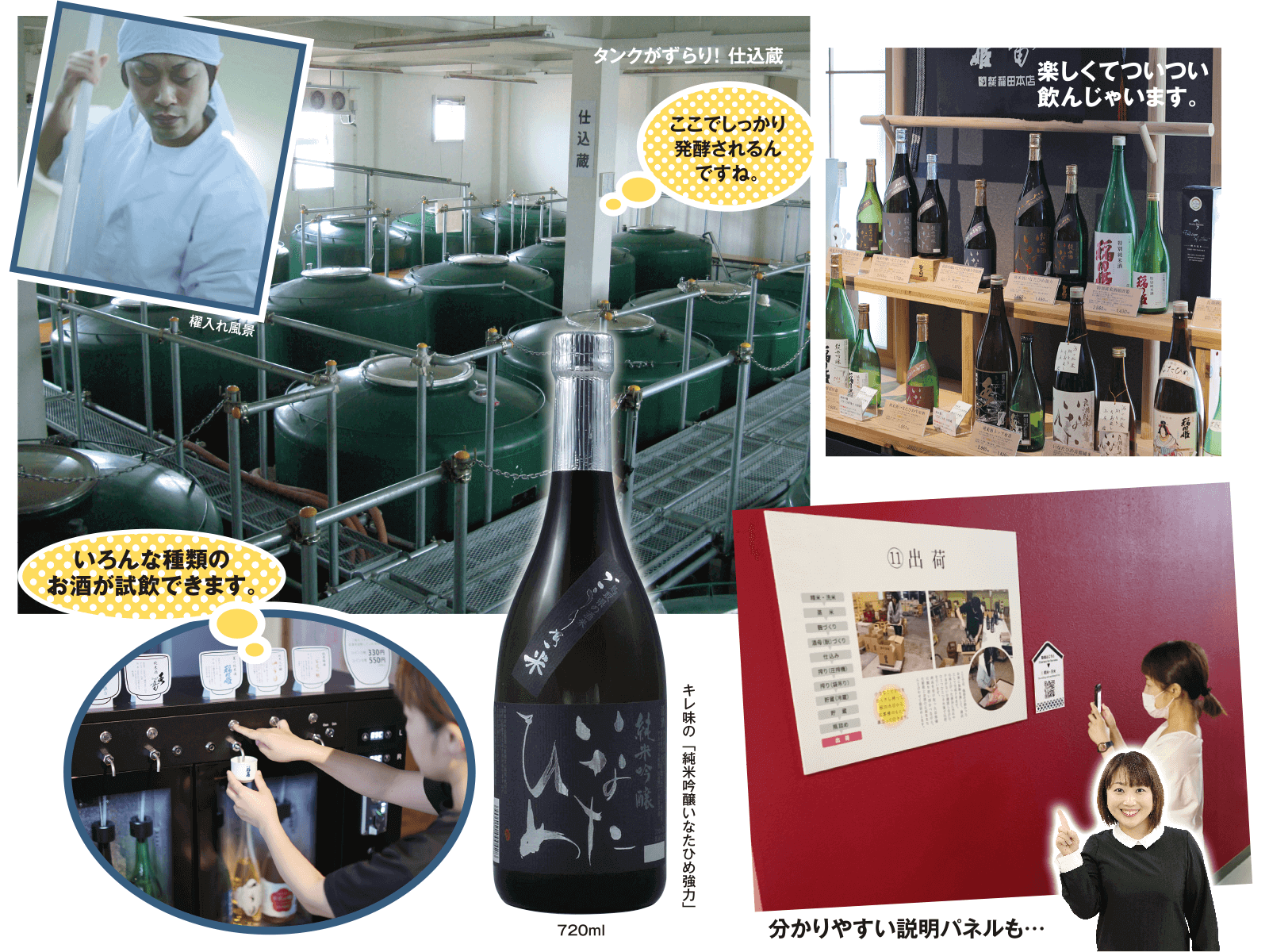 株式会社稲田本店
