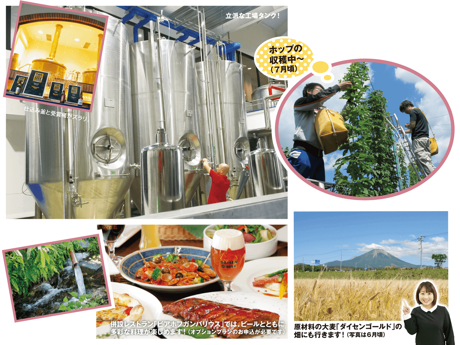 久米桜麦酒株式会社 ｢大山Gビール｣ブルワリー