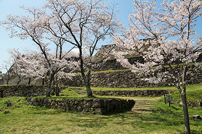 米子城桜１