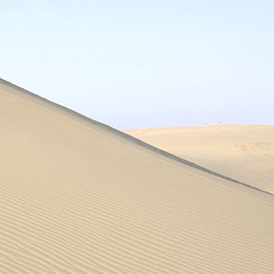 Tottori Dune 
