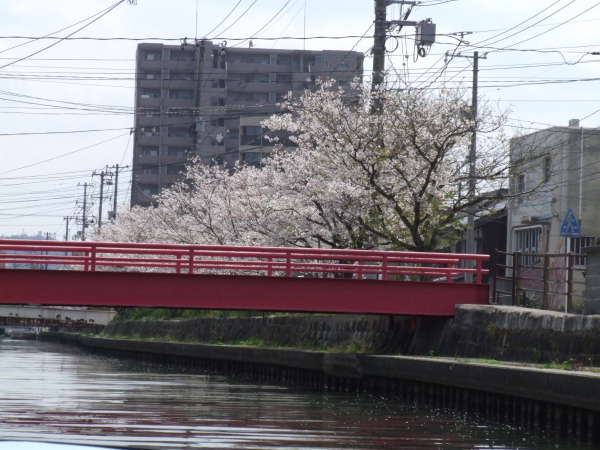 桜船8