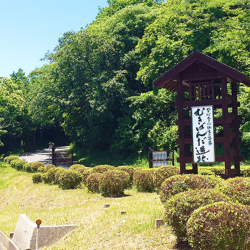 妻木晩田遺跡_03