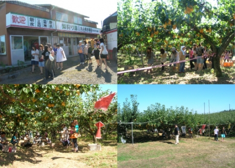 Daisen tourist Pear Ranch