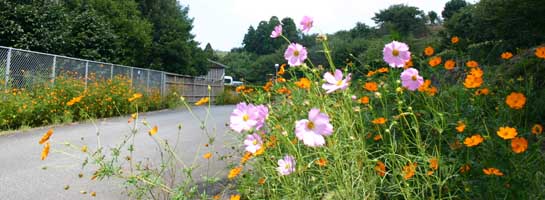 Hoki Kodai no Oka Park