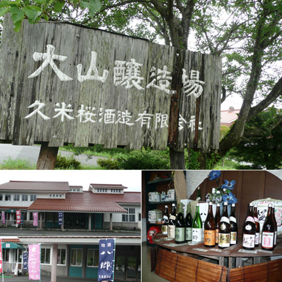 Kumezakura Sake Brewery（Sake brewery tour）