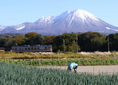 写真