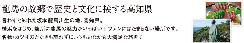 高知エリア