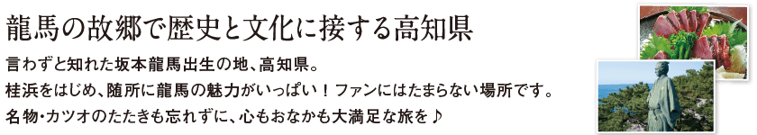 高知エリア