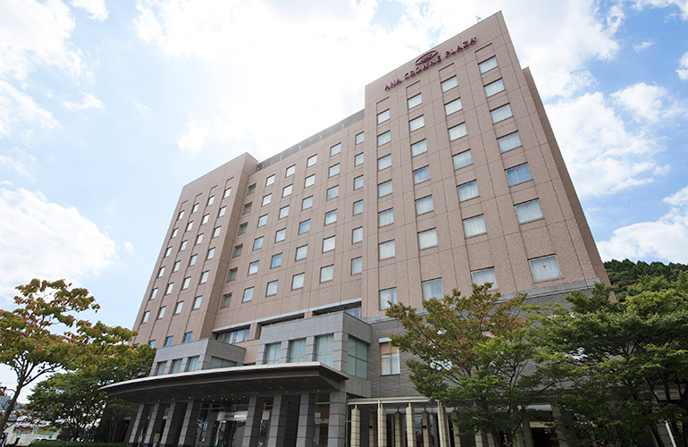 ANACPH全景