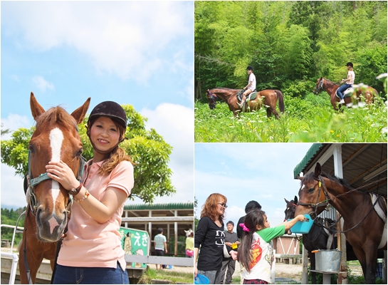 観光素材集大山乗馬センター