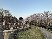 伯耆古代の丘公園１