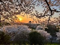 伯耆古代の丘公園2